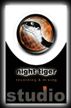 Night Tiger Studio